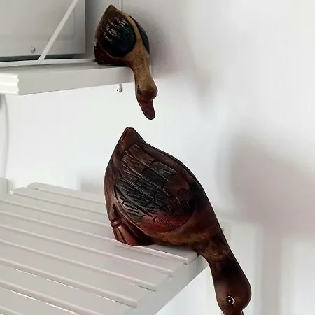 Apartamento Casa Pescado Y Mariposas *